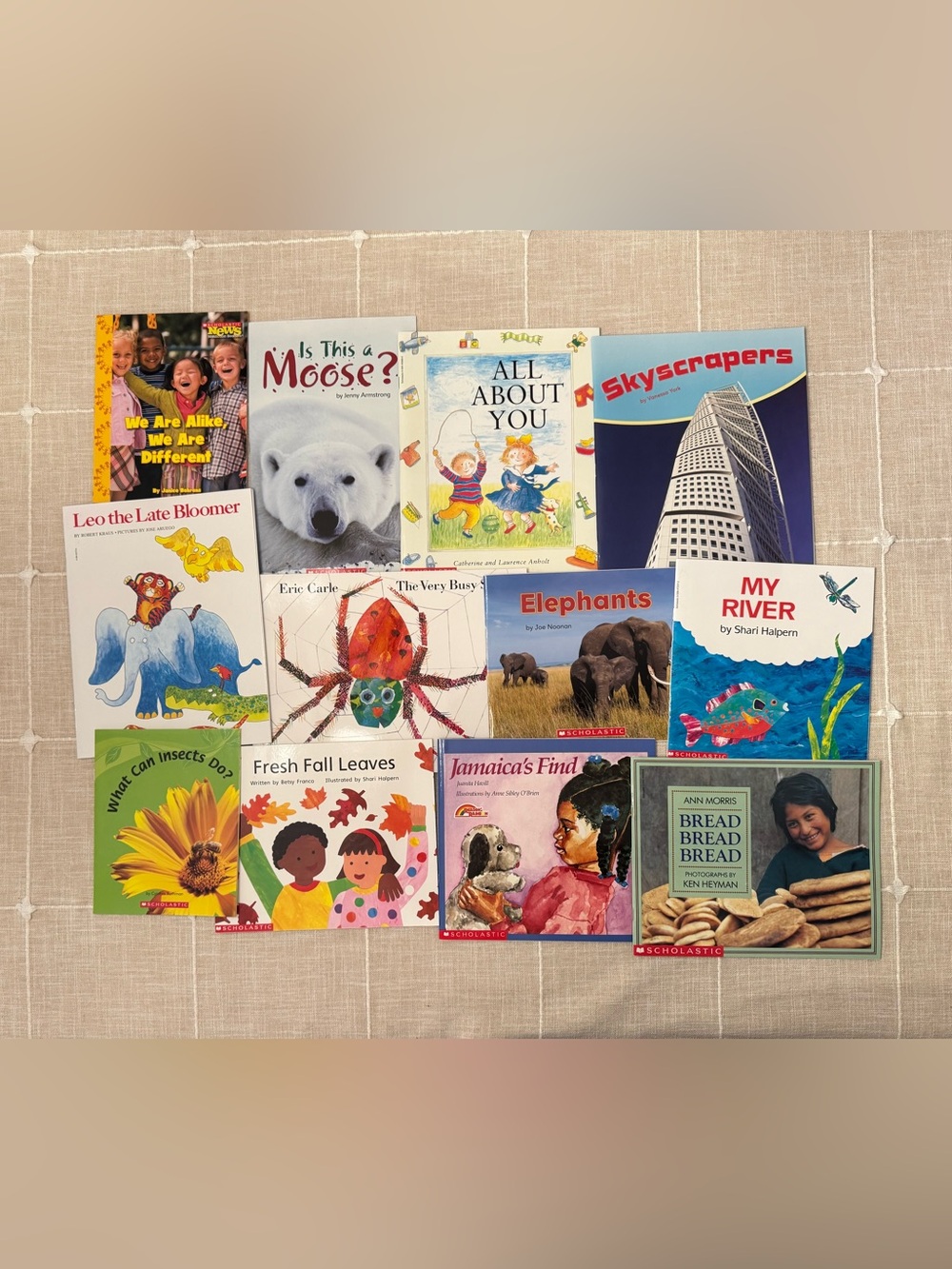 NEW!  Bundle of 12 Scholastic books